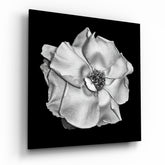 Flower Glass Wall Art | Insigne Art Design.